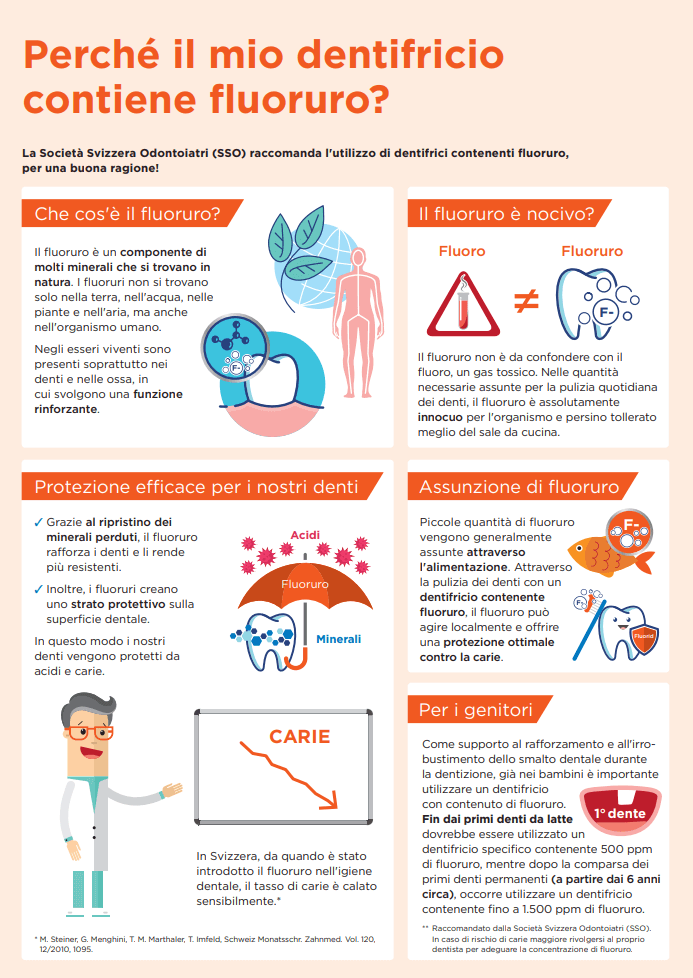 PDF sulla carie: Perché il mio dentifricio contiene fluoruro? 